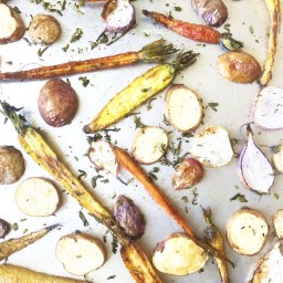 Get Back to Your Roots